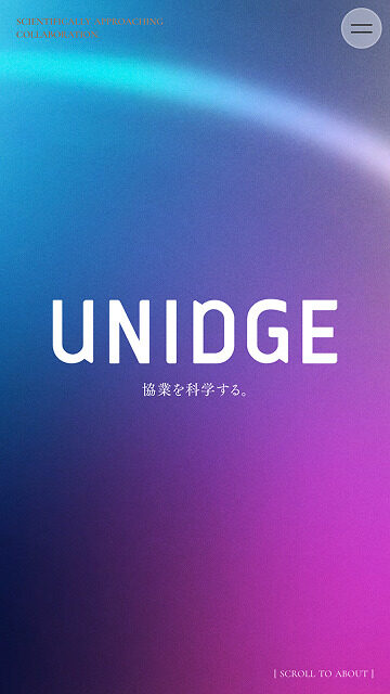 UNIDGE